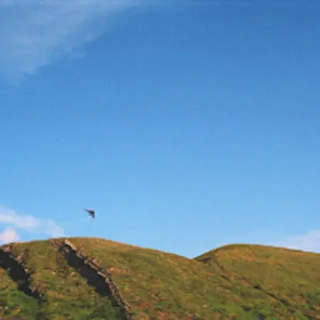 Летний дом Casa Dos Mangues Сан-Мартинью-ду-Порту