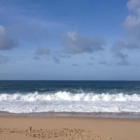 Casa Dos Mangues Летний дом Сан-Мартинью-ду-Порту