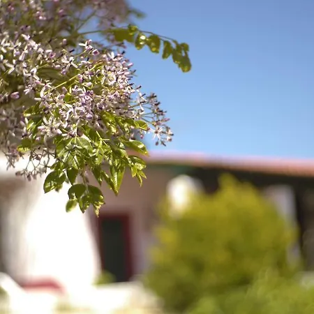 Casa Dos Mangues Сан-Мартинью-ду-Порту