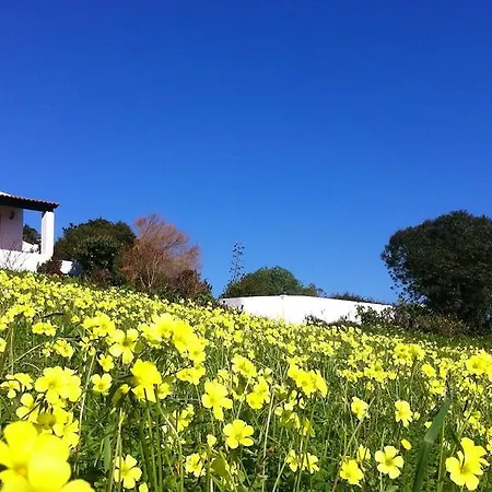 Летний дом Casa Dos Mangues Сан-Мартинью-ду-Порту