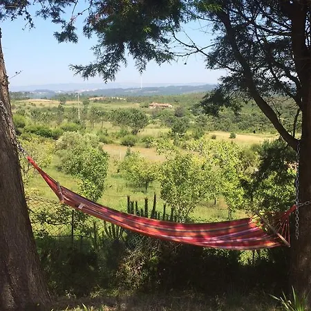 Casa Dos Mangues Летний дом Сан-Мартинью-ду-Порту