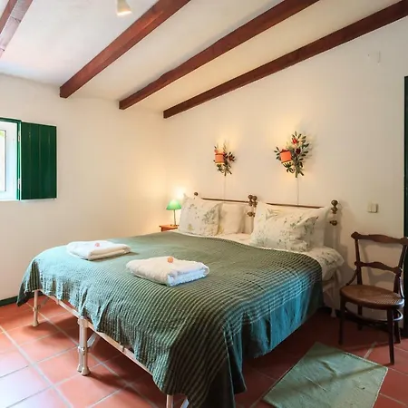 Casa Dos Mangues Летний дом Сан-Мартинью-ду-Порту