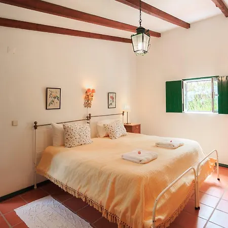 Casa Dos Mangues Летний дом Сан-Мартинью-ду-Порту