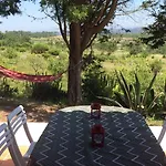 Casa Dos Mangues בית כפרי סאו מרטיניו דו פורטו